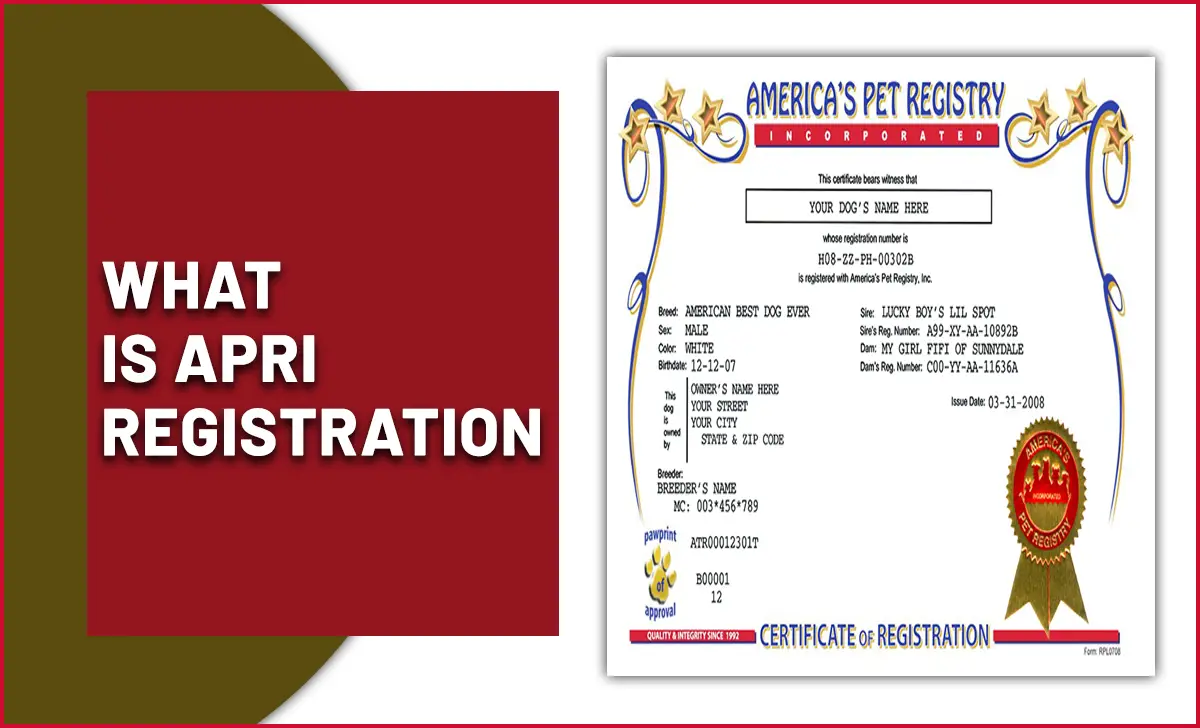 What Is APRI Registration
